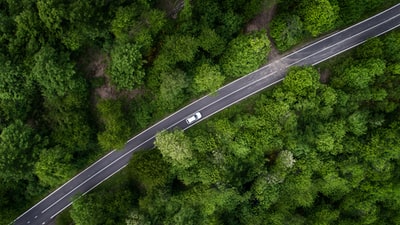 Aerial photography car walking in between the trees
